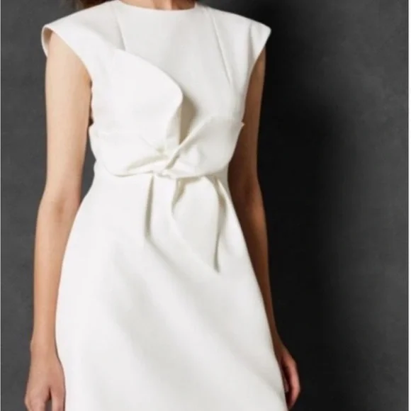 Ted Baker dress - Picture 2 of 12